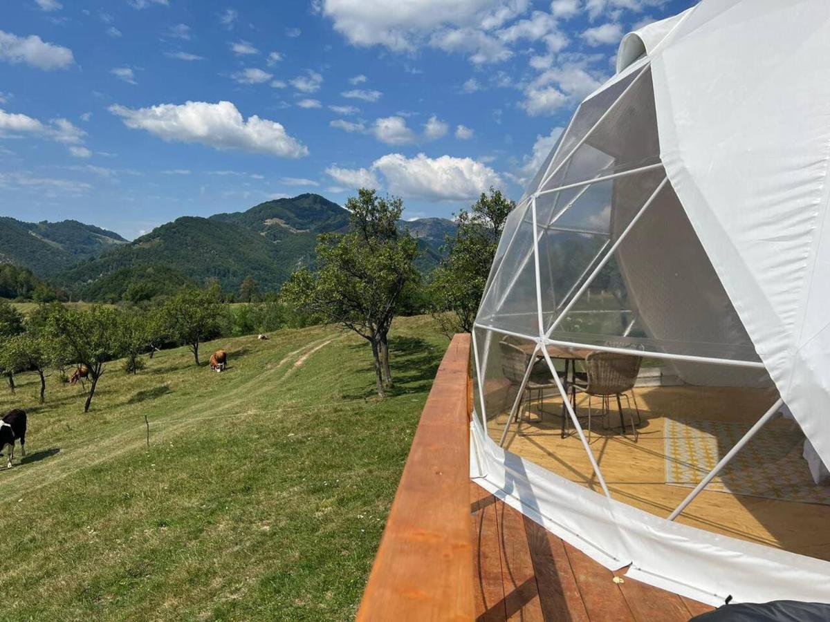 Hotel Tranquil Dome - Manta'S Retreat Glamping Cornereva Exterior foto